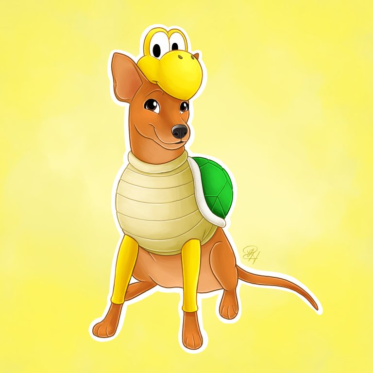 Isko (Koopa)