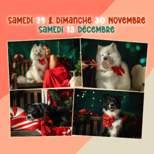 Shooting Photo de Noël