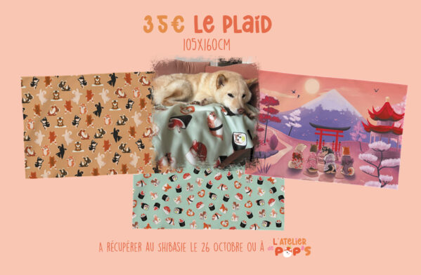 Plaid – Image 2