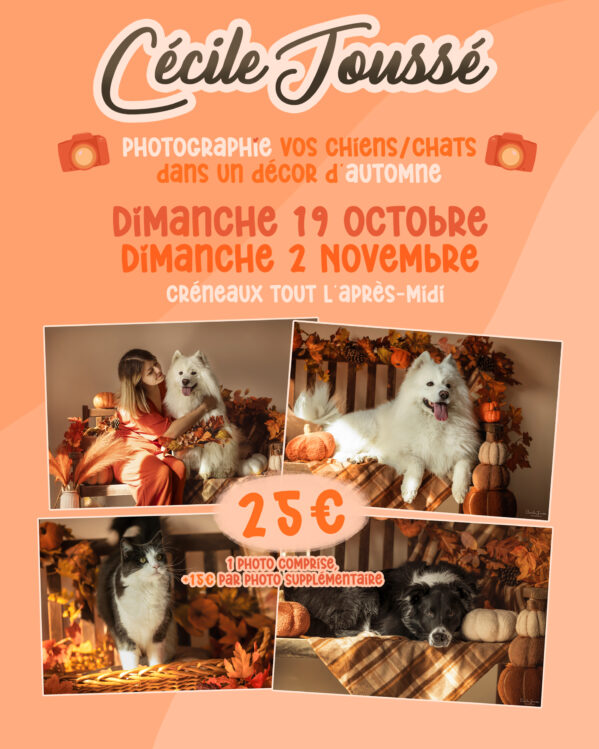 Shooting Photo d'Automne – Image 2