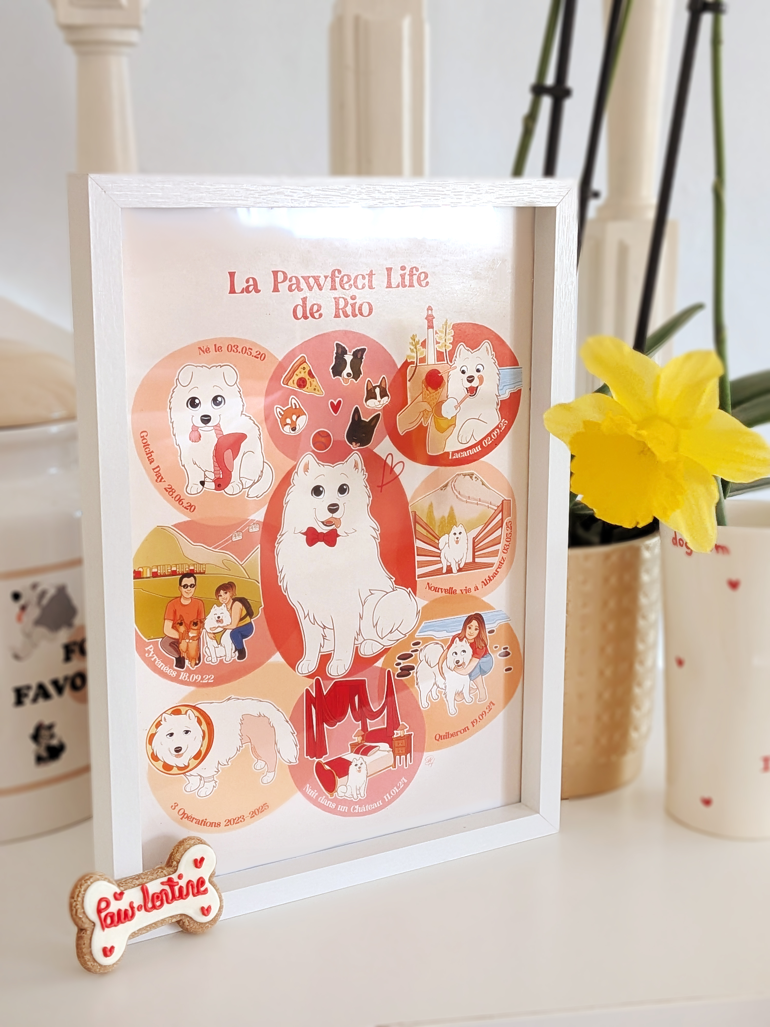 Pawfect Life animal photos (1)