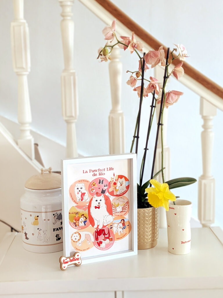 Pawfect Life animal photos (3)