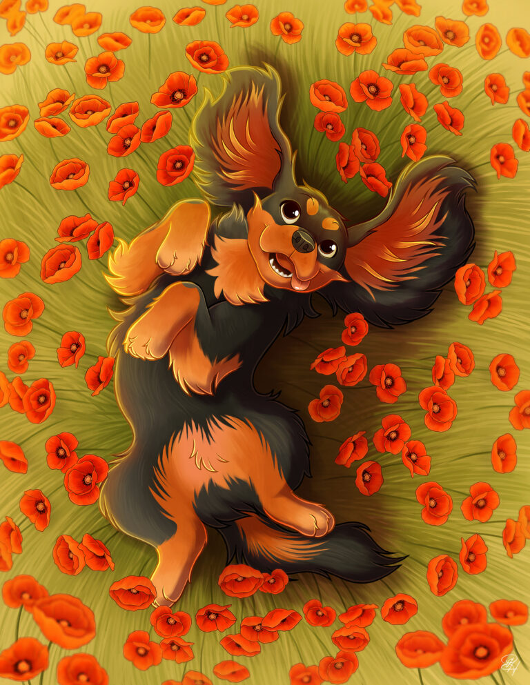 Coquelipaws (Aurélie)1