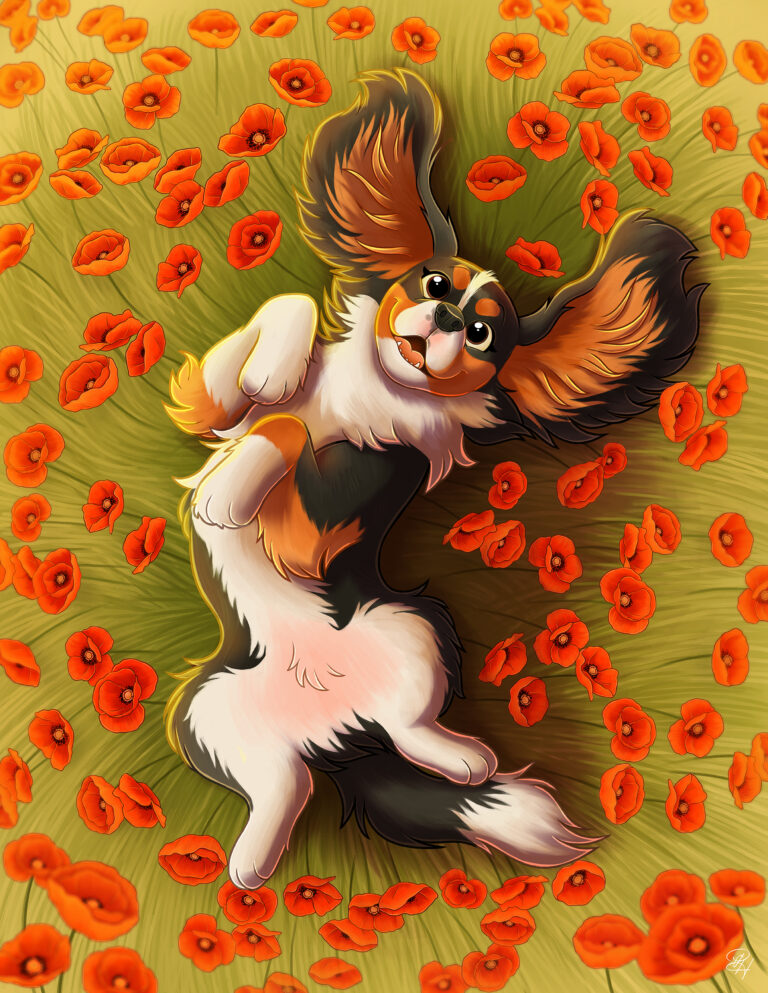 Coquelipaws (Aurélie)2