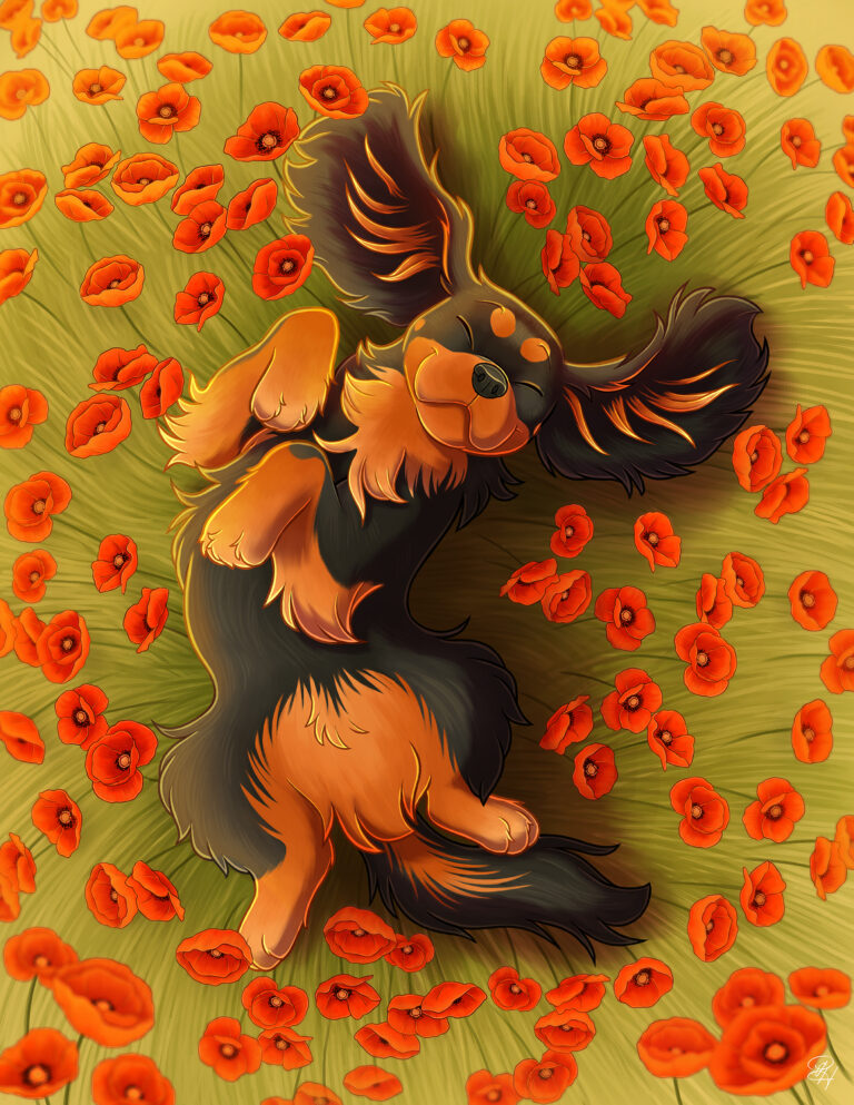 Coquelipaws (Emilie)