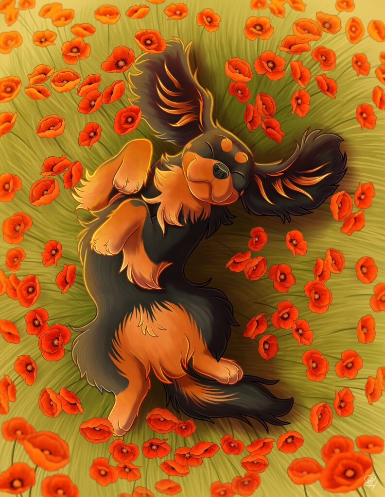 Coquelipaws (Emilie)