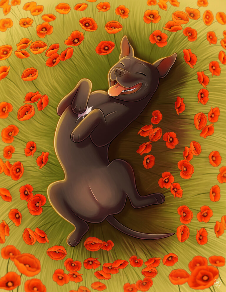 Coquelipaws (Rio)