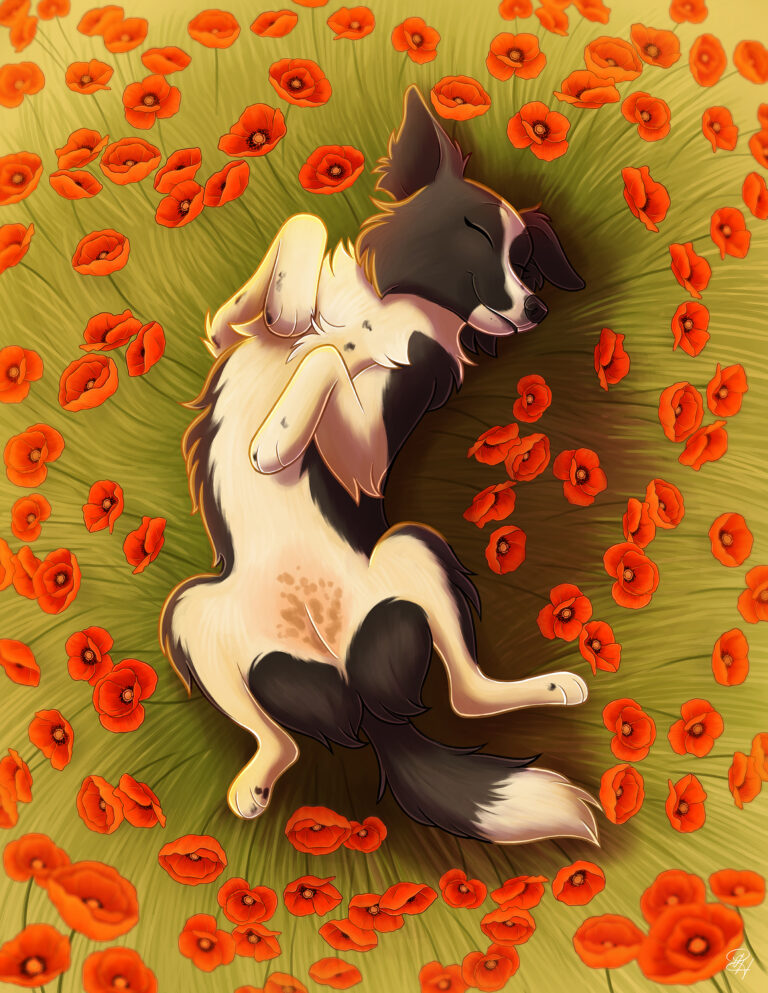 Coquelipaws (oreo)