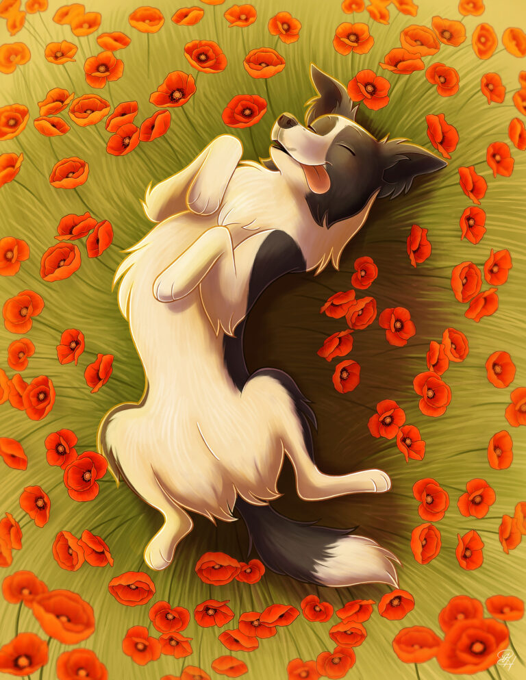 Coquelipaws (taïko)