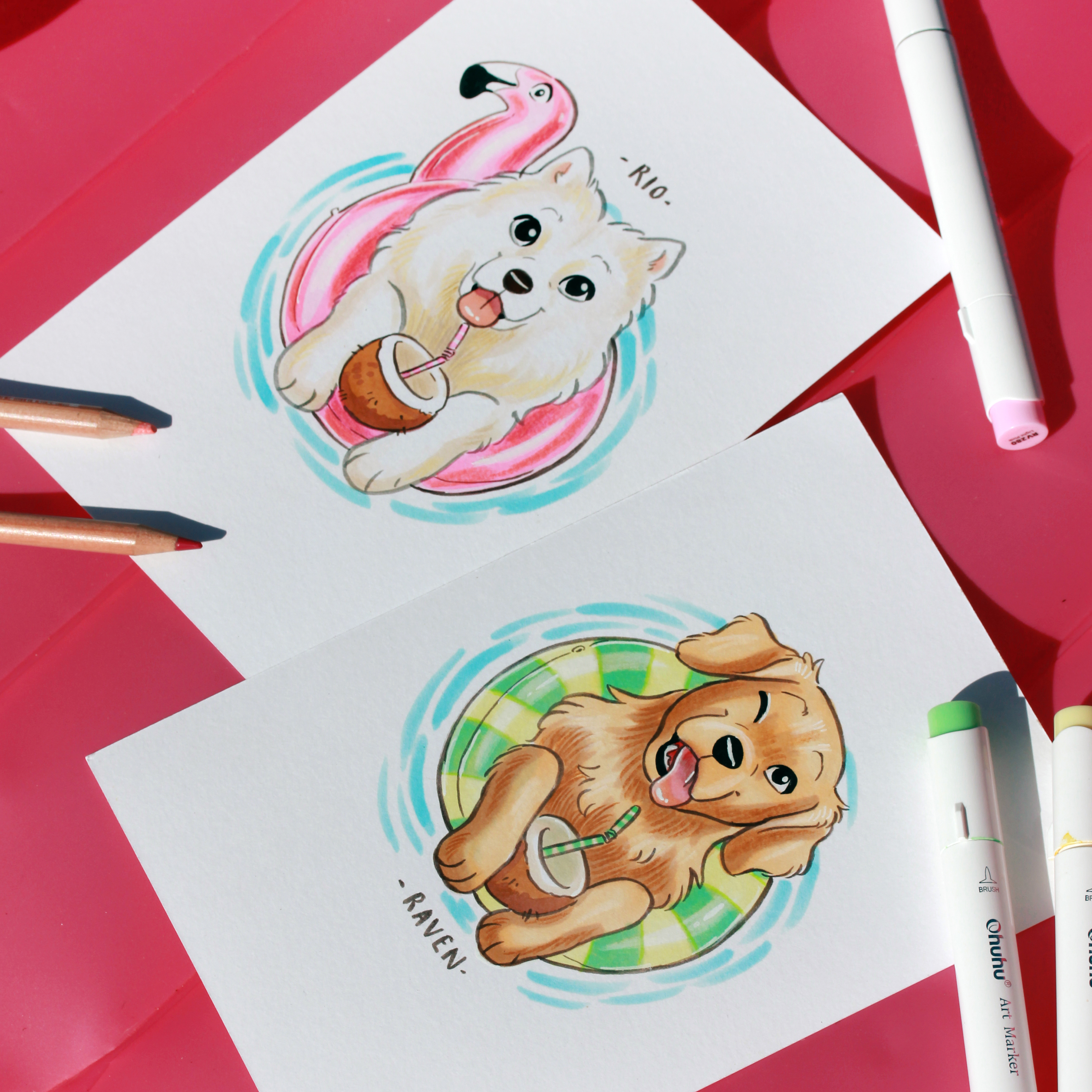 Illustrations CanidéPlouf